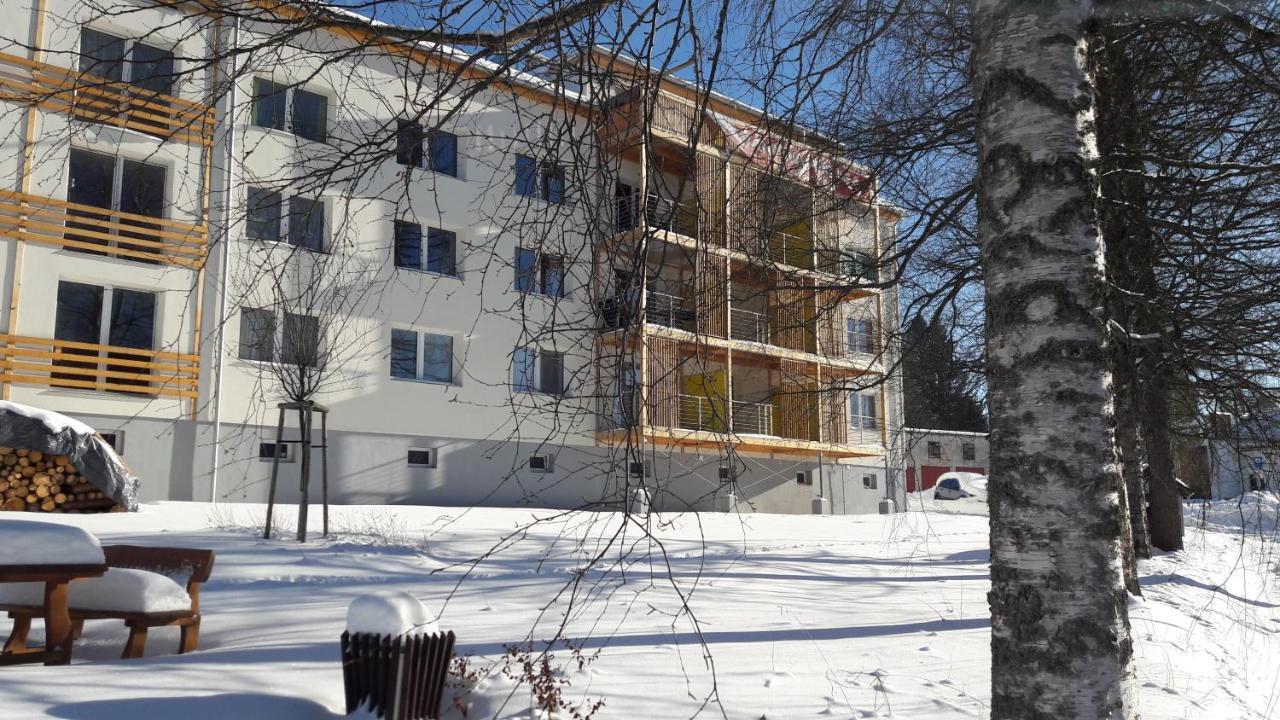 Apartmán 7 Stožec Esterno foto